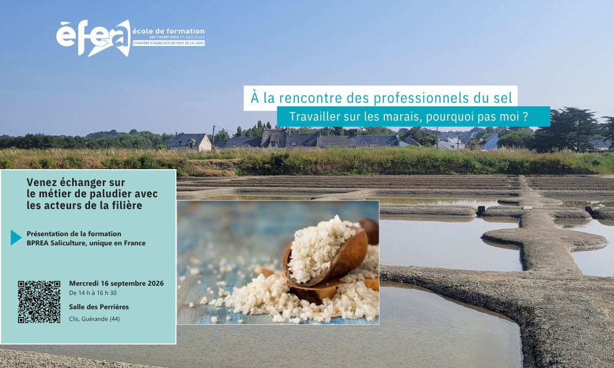 Journée découverte - Formation saliculture (44)