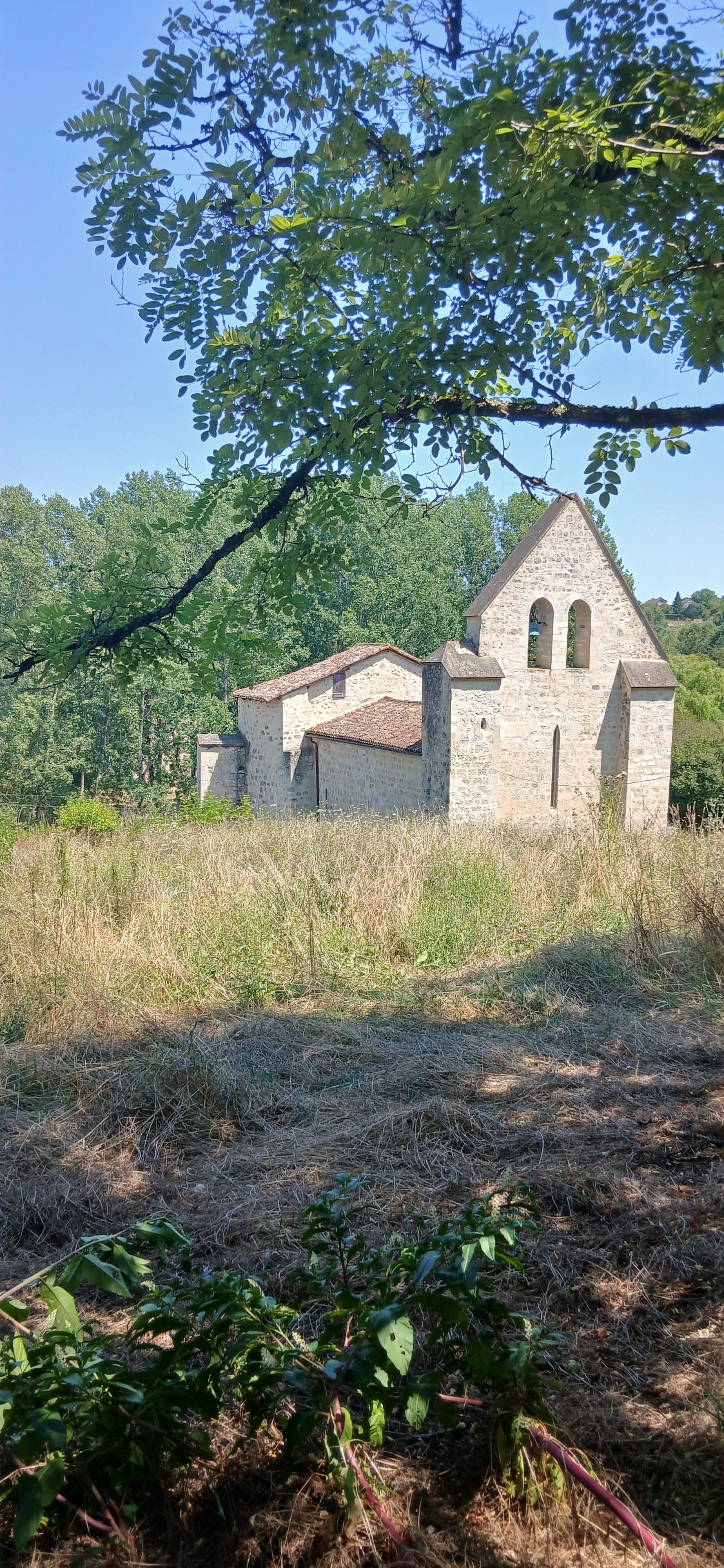 Visite commentée : le parcours des églises de Sos en Albret