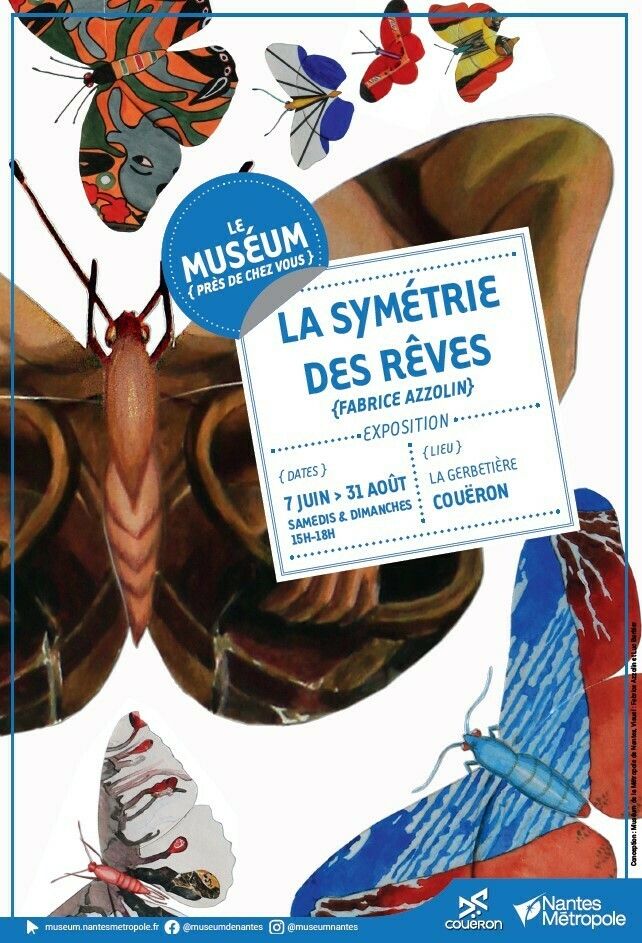 Le Muséum près de chez vous : Exposition La Symétrie des rêves
