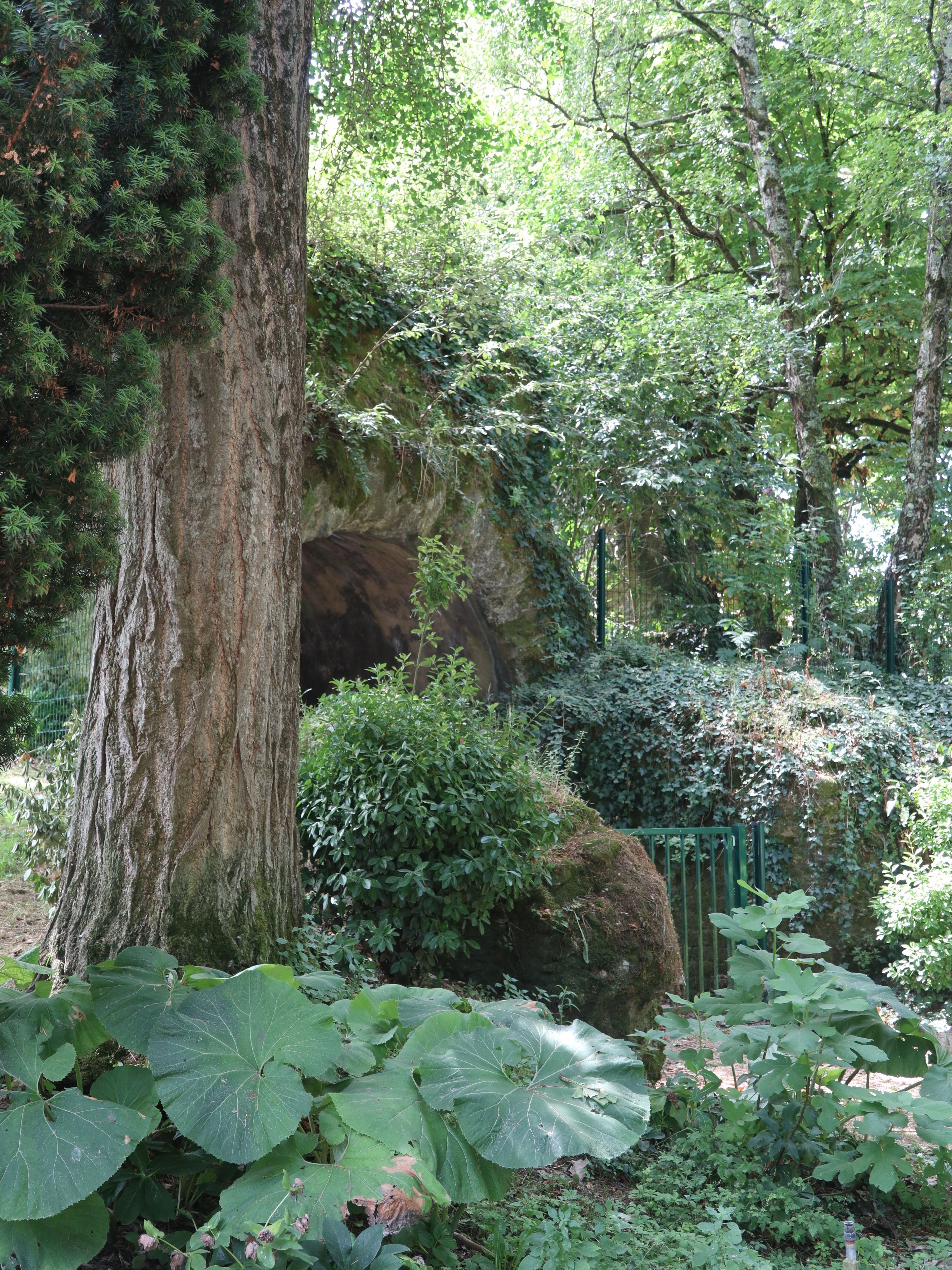 Sauvées par un jardin ! Les Arènes de Périgueux du Ier siècle à nos jours