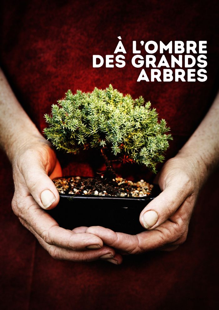 Musique dès 4 ans, Mercredi 20 janvier à 14h30 à l'Atalante