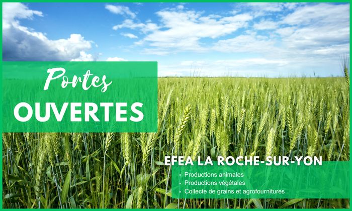 Portes Ouvertes EFEA 2026-2027 : La ferme expérimentale des Établières (85)