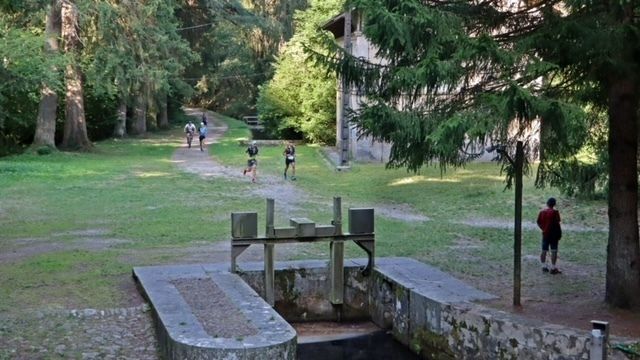 36ÈME FOULÉES EN MONTAGNE NOIRE ET 40ÈME COURSE CHARCUTIÈRE