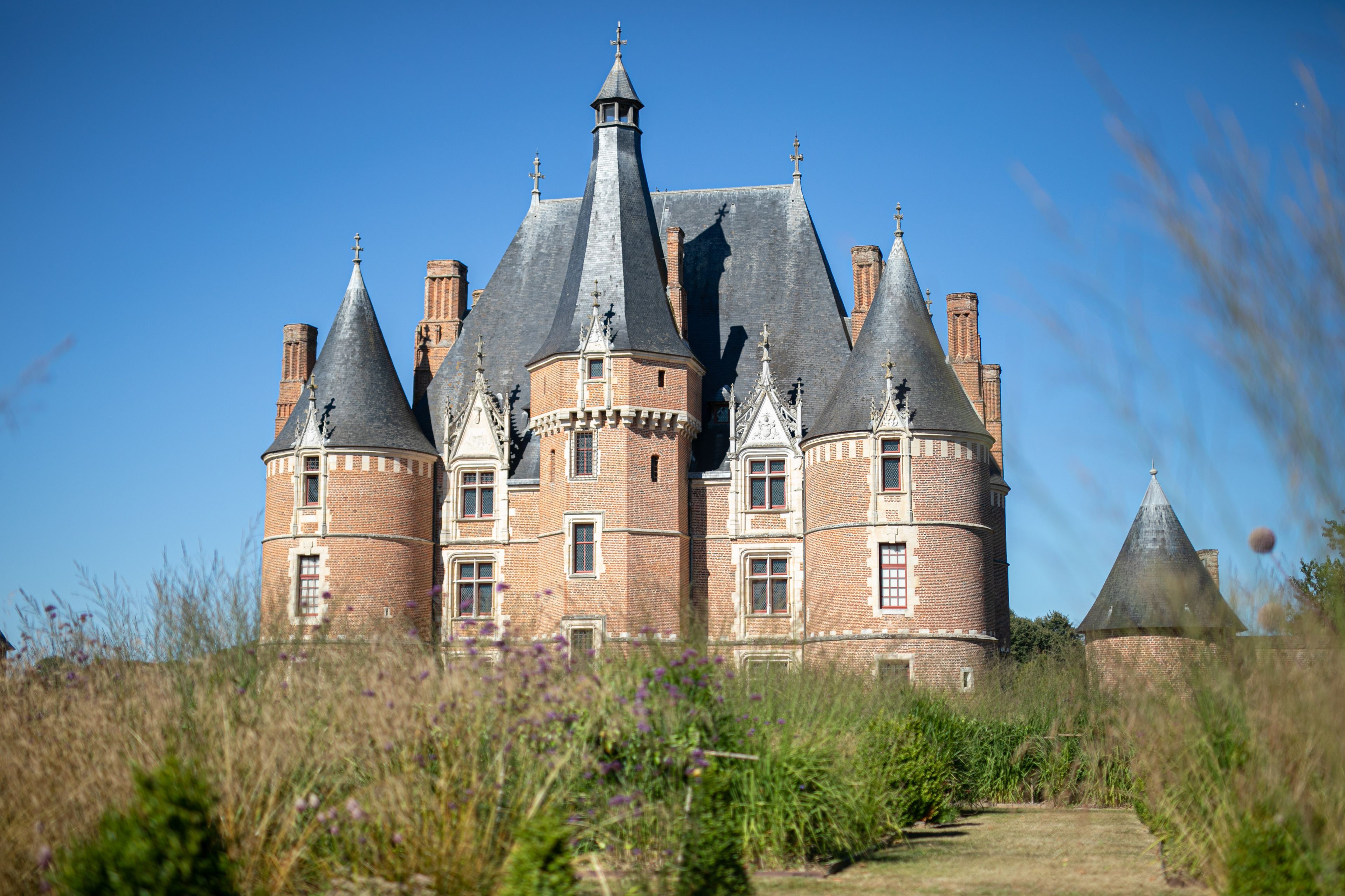 Visite guidée du rucher