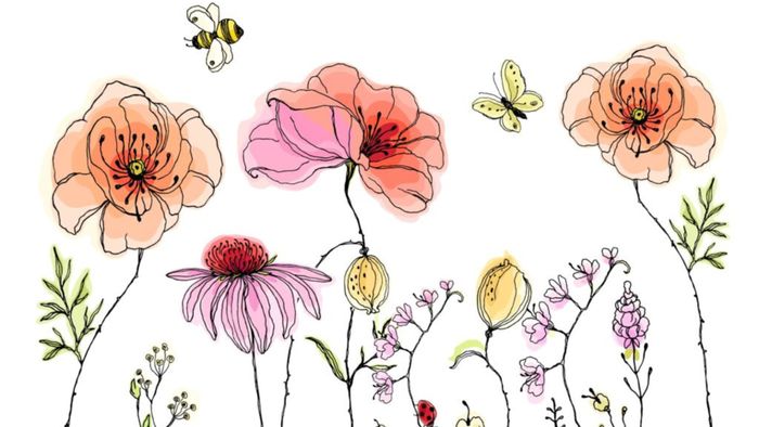 "Ma rue en fleurs" : fleurir nos rues et nos pieds de murs
