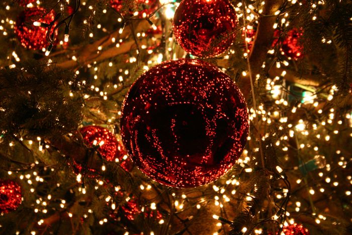 Concerts de Noël de la Maison Municipale de la Musique
