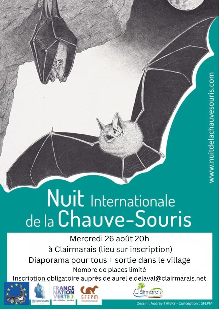 Nuit internationale de la chauve-souris à Clairmarais