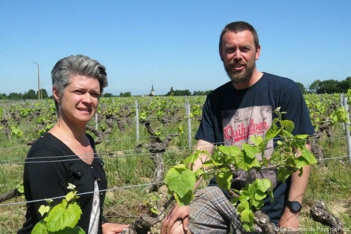 Soulenque des jeunes viticulteurs