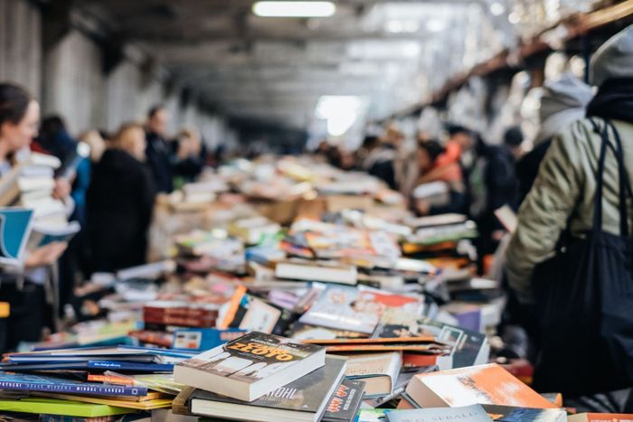 La Braderie des déclassés : des trésors à petits prix !