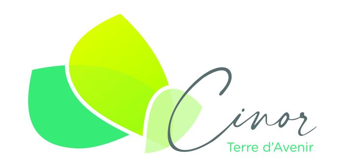 Le Défi SEDD 2026 - Quizz CINOR