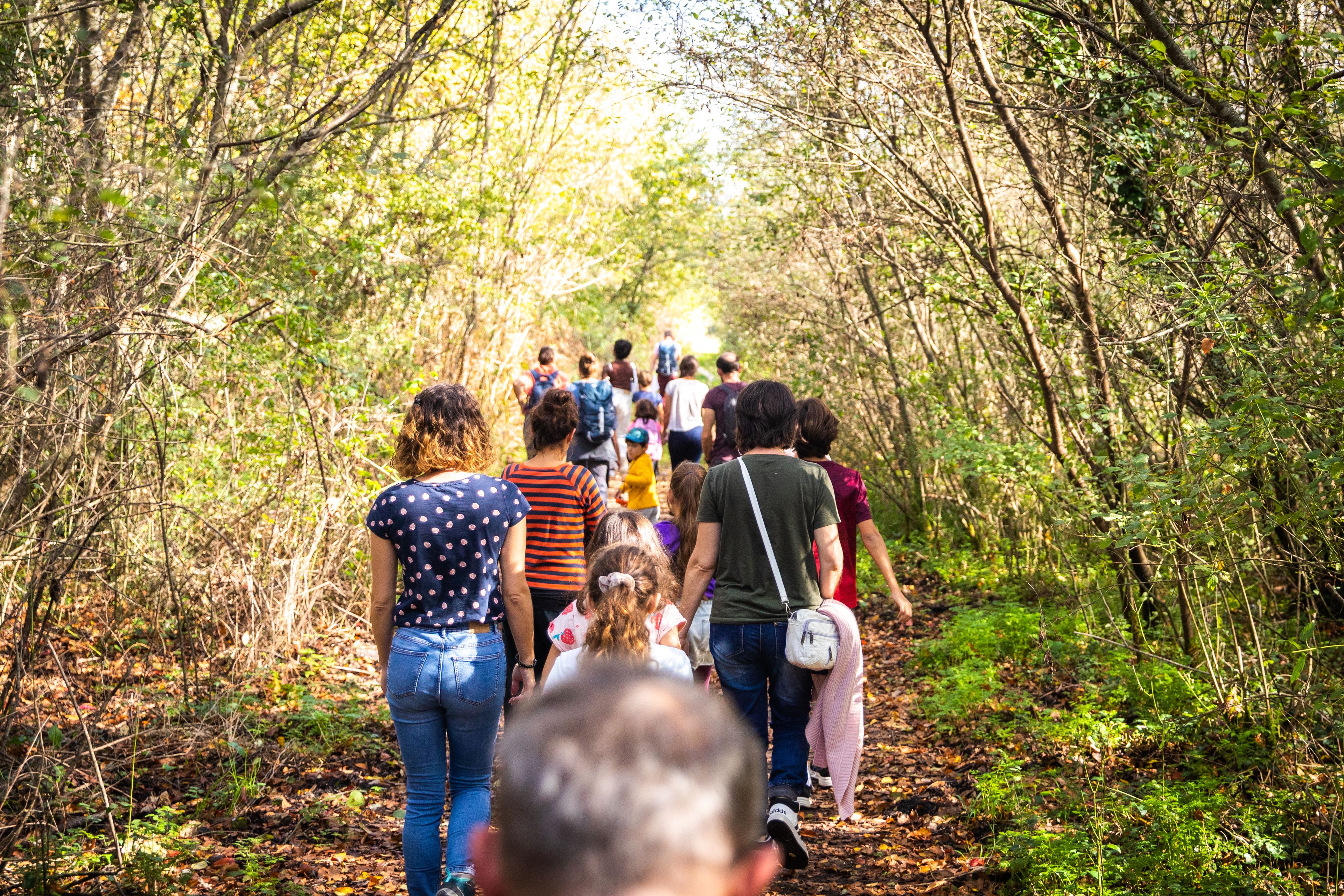 Balade : En milieu urbain, la nature change et s'adapte