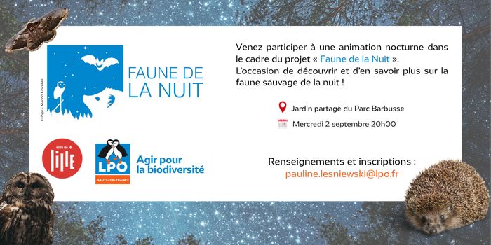 À la découverte de la faune nocturne