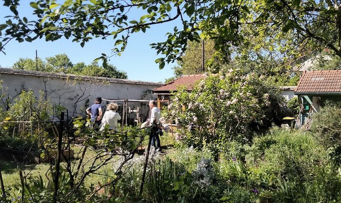 Venez vous aider à préparer le jardin pour l'hiver au sein de notre jardin des murs à pêches
