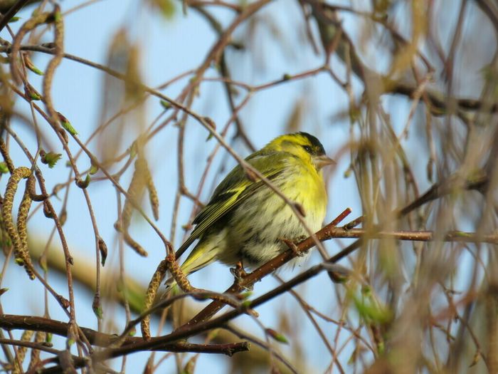 Sortie coorganisée par Île-de-France Nature