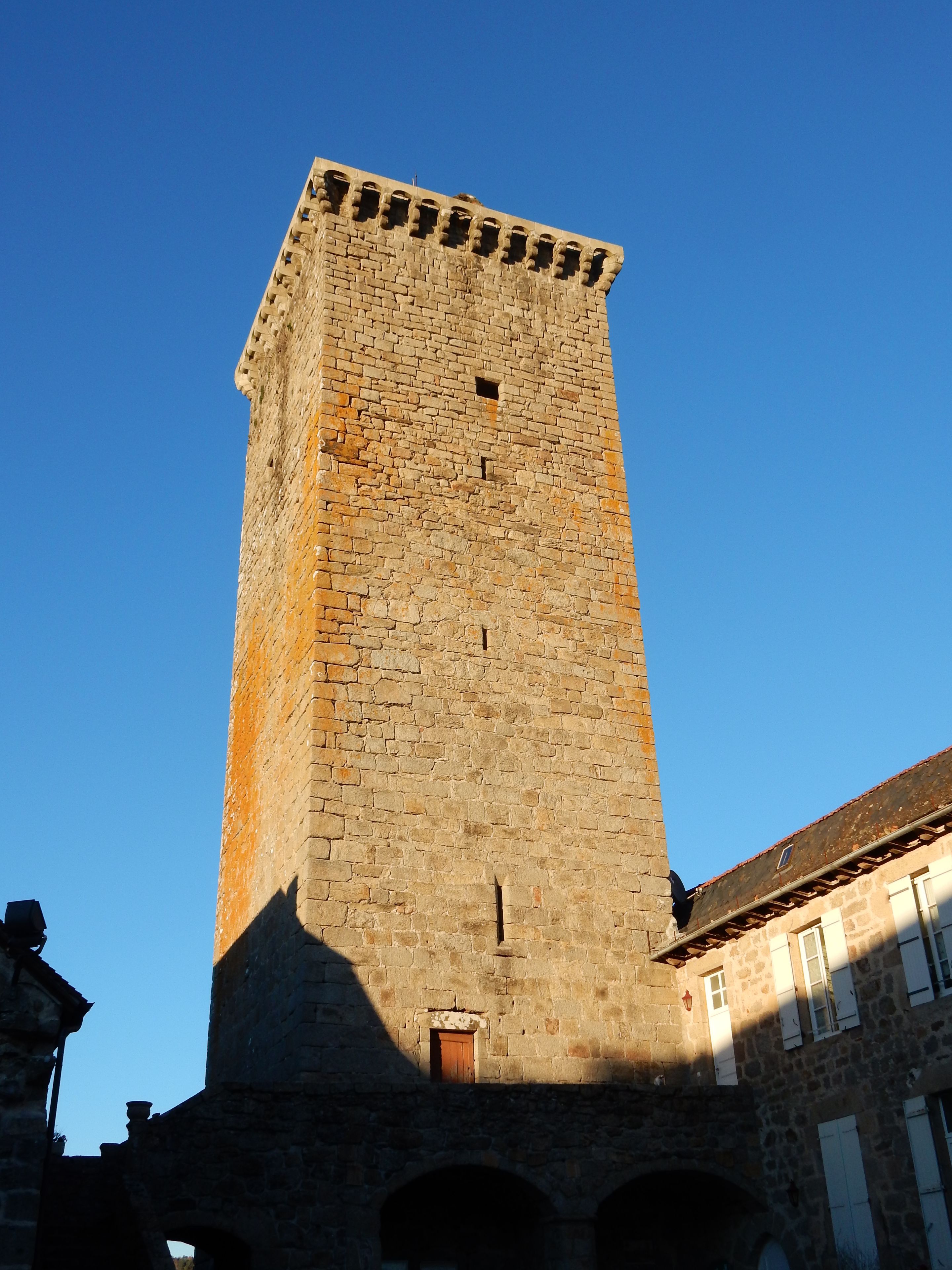 Visite guidée de la tour médiévale de Teyssieu