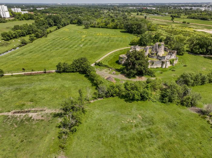 Du passé au présent : paysage, faune et flore autour de la Forteresse de Blanquefort