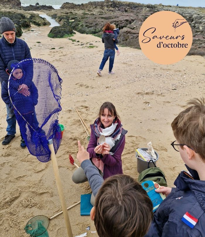 Initiation à la pêche à pied - Saveurs d'octobre