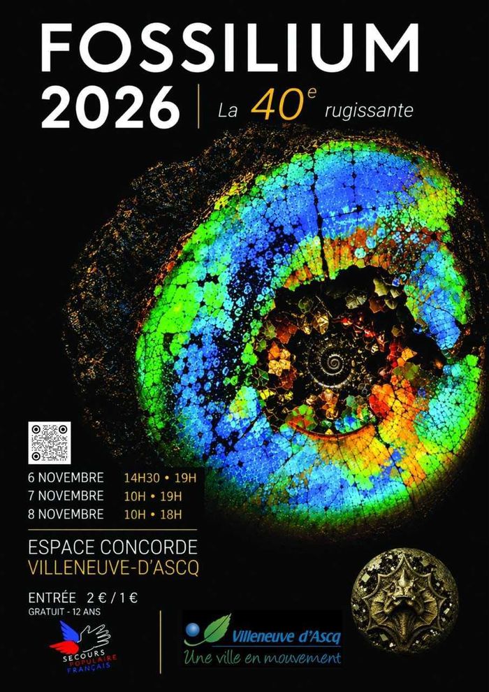 40 ans de Fossilium : la Côte d’Opale raconte son histoire