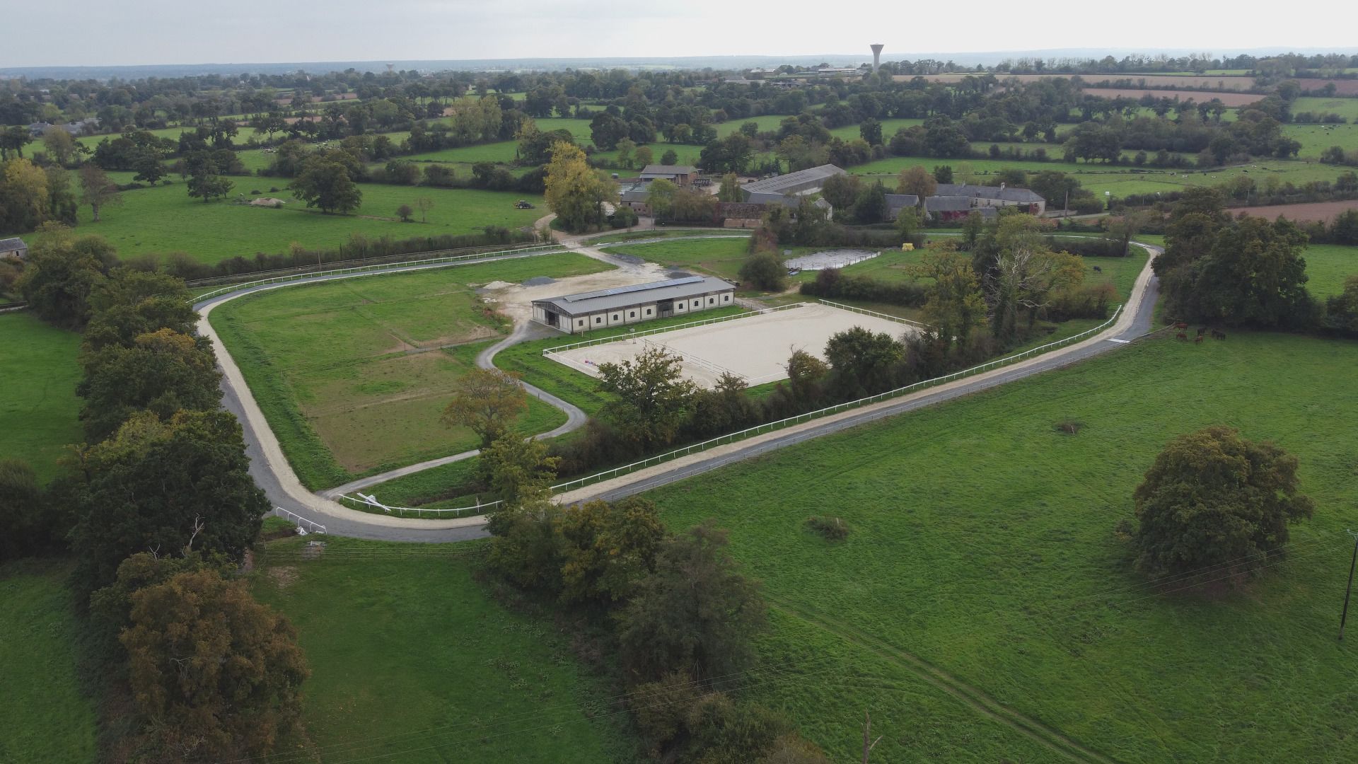 Découverte des métiers du cheval au Haras de Saint-Blaize