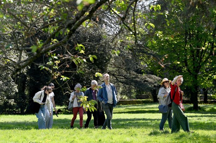 Balade ressourçante au parc de Procé