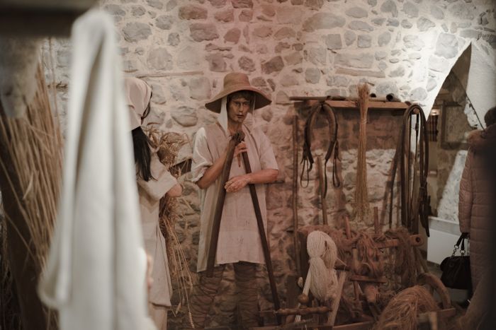 Visite du musée du Moyen-âge et des jardins