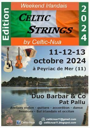 Bal irlandais et occitan