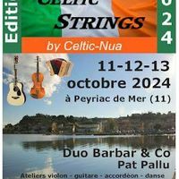 Bal irlandais et occitan