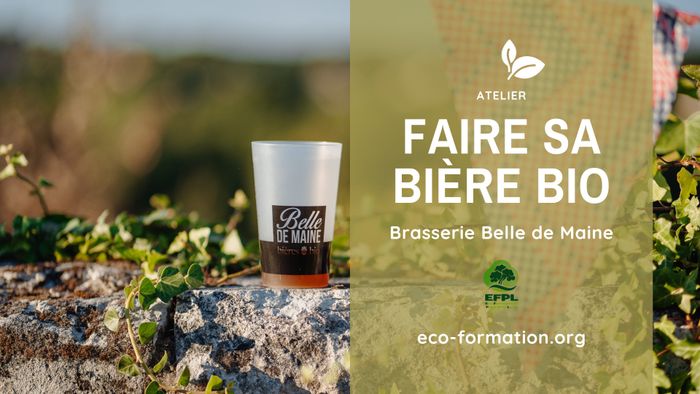 Faire sa bière bio à la maison