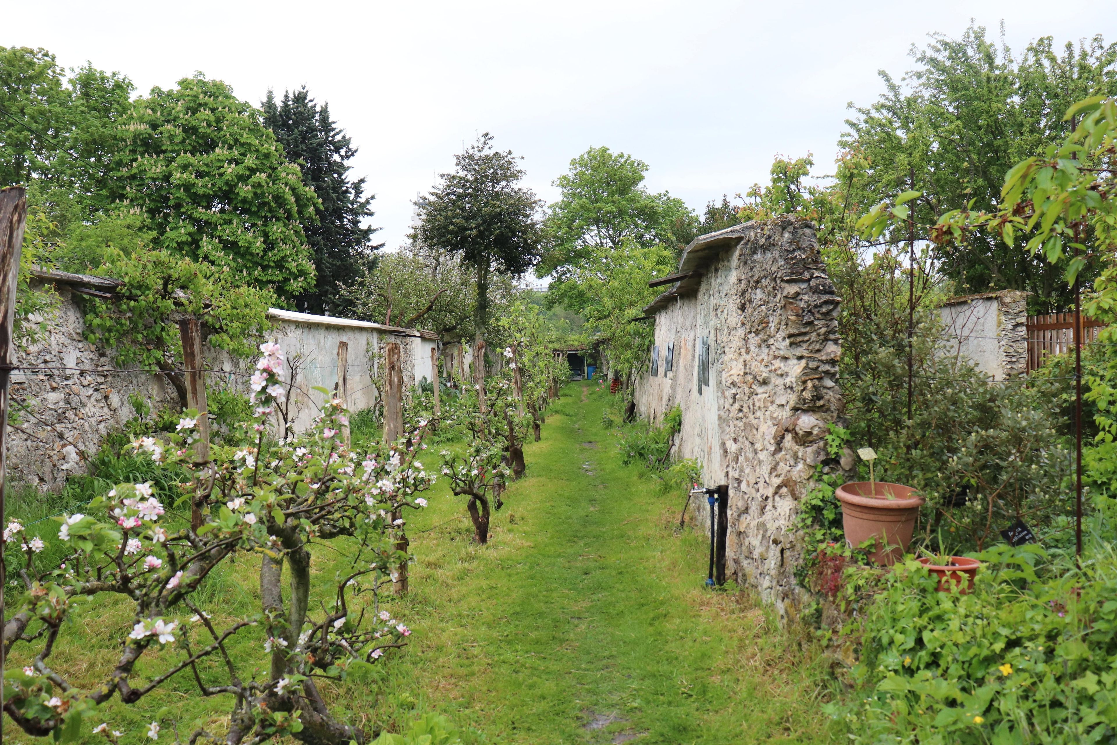 Visite guidée des Murs à Pêches