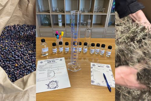 Gin XII : Histoire, savoir-faire et atelier