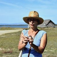 Balade découverte de plantes sauvages comestibles.
