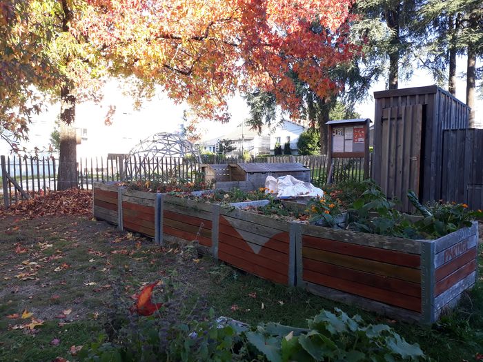 Rendez-vous au jardin Ecos'ystem