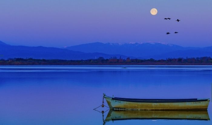 Visite insolite : Lever de soleil & coucher de lune sur l'étang
