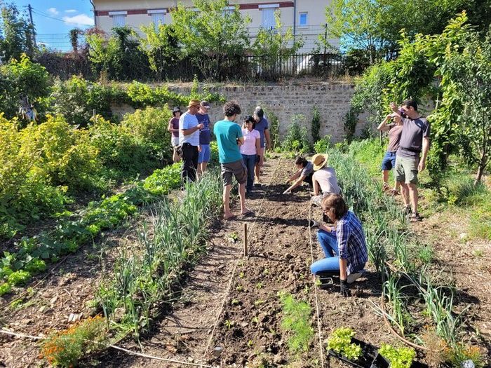 Initiation à la permaculture et à l'éco-culture à Versailles !