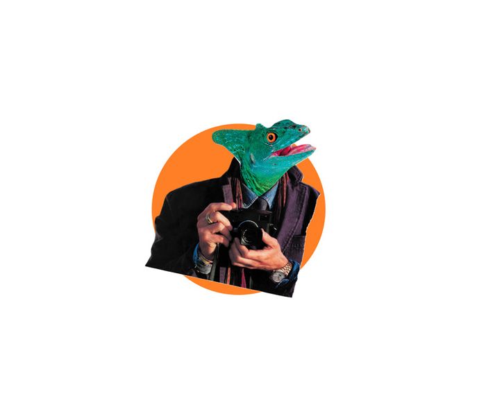 Des collages immédiats