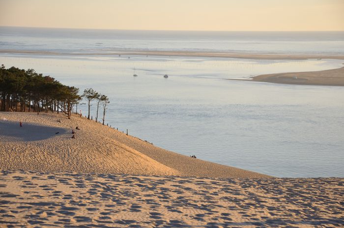 Week-end familles sur le Bassin d'Arcachon