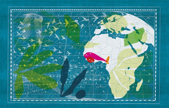 Exposition « Art d'identité » : une prescription culturelle – Les 50 ans d'Habitat Jeunes Sète