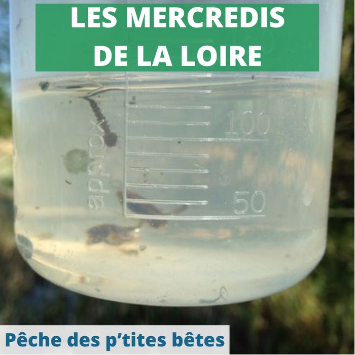 Pêche des petites bêtes