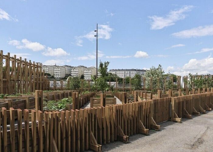 Le Potager de la Cantine