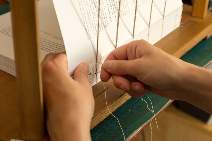 L'Art de la Reliure : quand le livre résiste et se ré-imagine