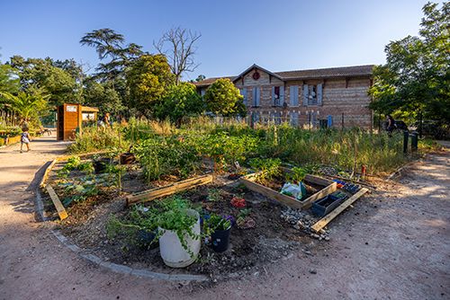 Portes ouvertes dans les jardins partagés