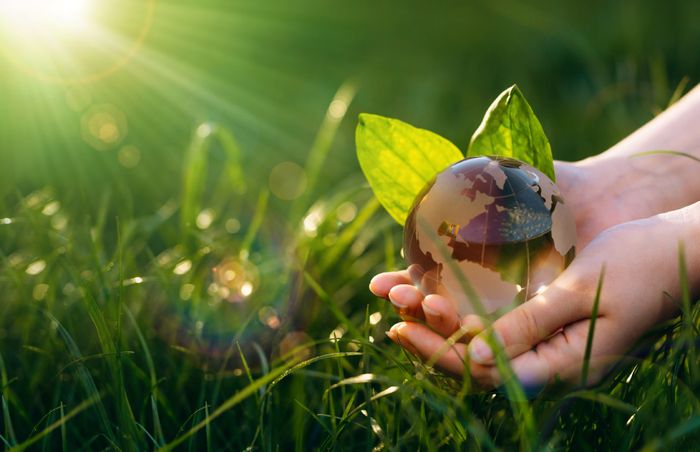 La semaine du développement durable à Sèvres