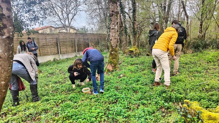 Explorer les plantes sauvages comestibles : reconnaître, cueillir, savourer
avec Nos Deux Mains