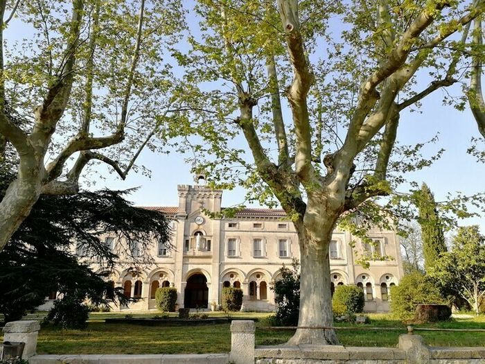 L'école du Petit Castelet Visites commentées