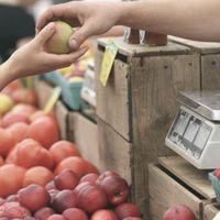 Marché de producteurs de pays
