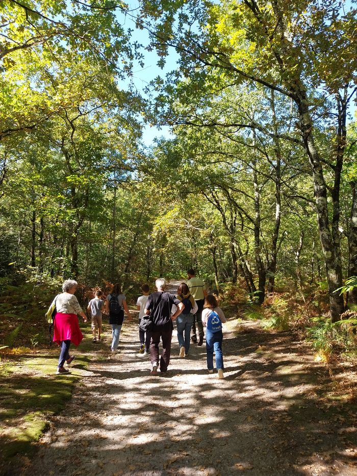 Balade commentée dans la forêt