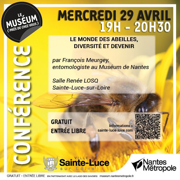 Conférence : Le monde des abeilles diversité et devenir