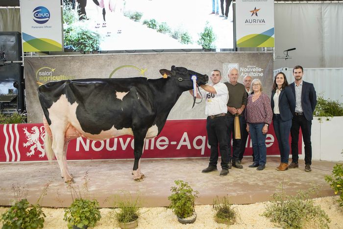 Festival de cornes