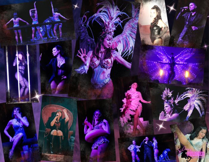 Proposition de spectacle pour le catalogue culturel du Loiret