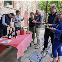 Balade vigneronne & atelier d'initiation